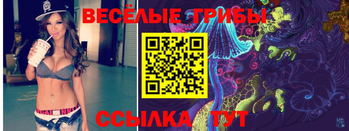 Псилоцибиновые грибы GOLDEN TEACHER Медногорск